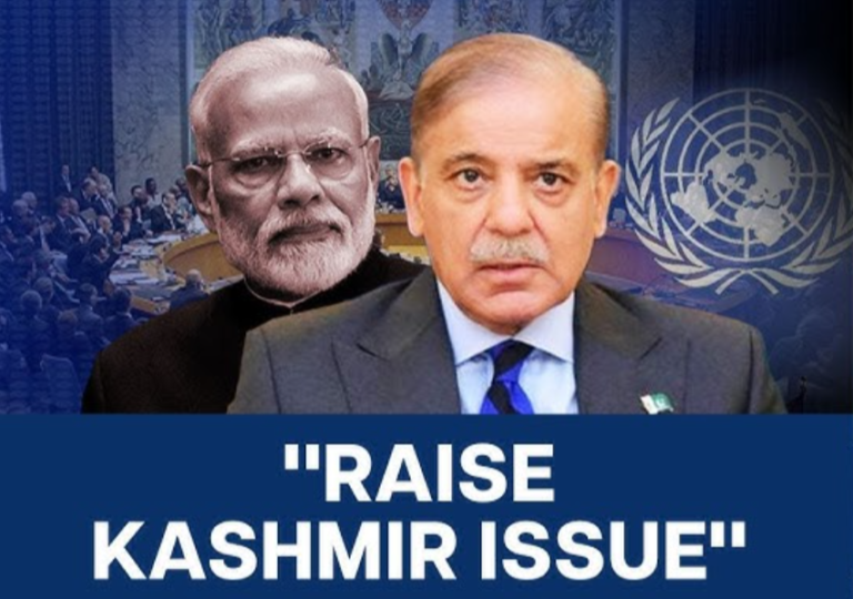 Pakistan’s UNSC Agenda: Elevating the Kashmir Issue in 2025.